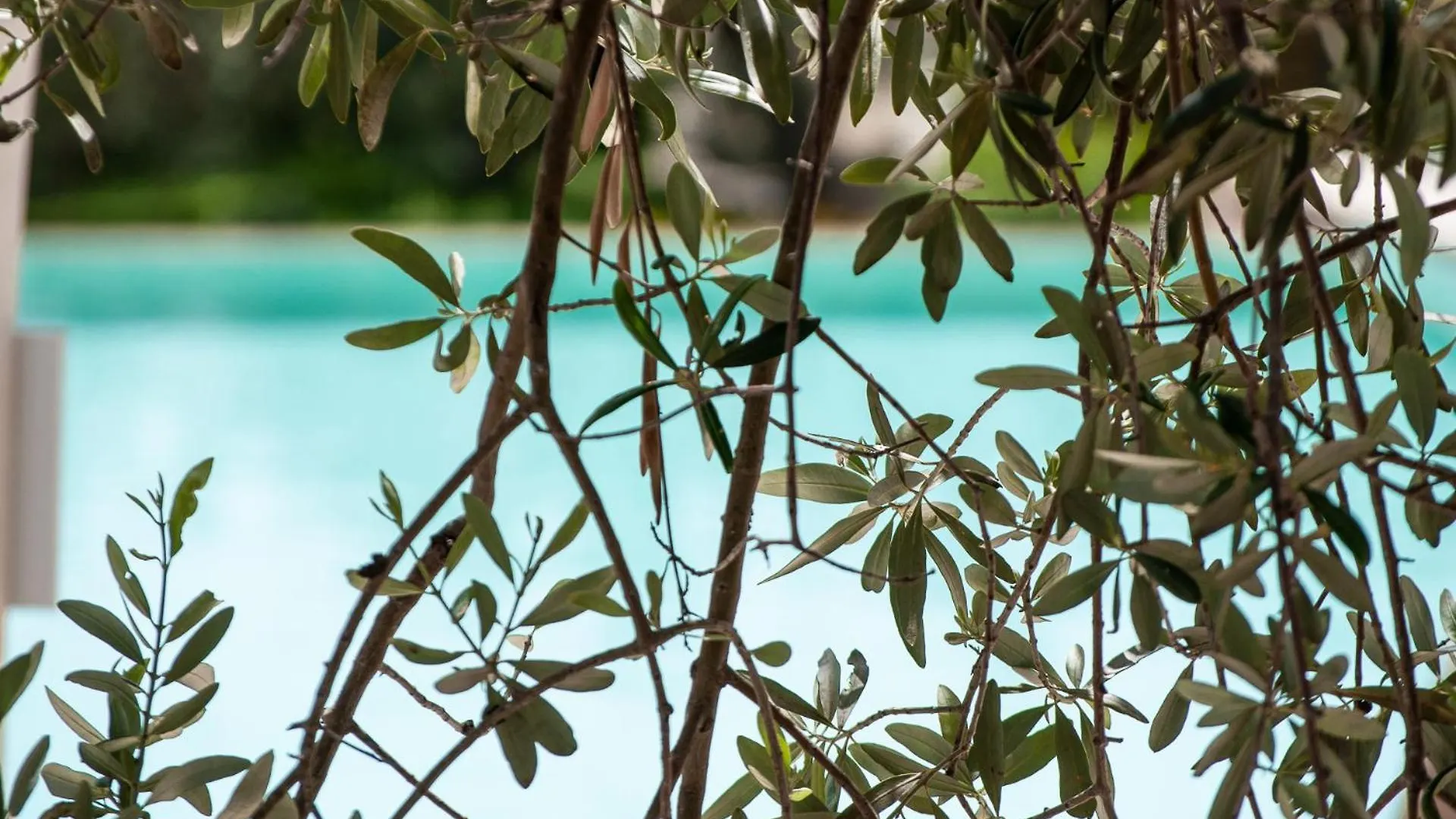 Tenuta Olive Alive Noto Italien