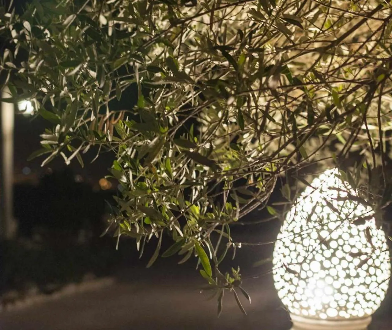 Tenuta Olive Alive Noto