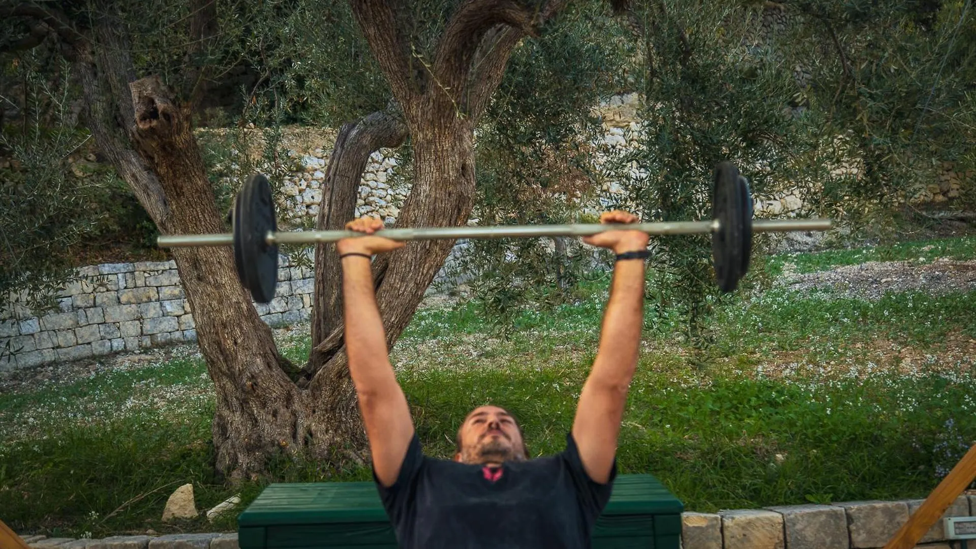 Tenuta Olive Alive Noto